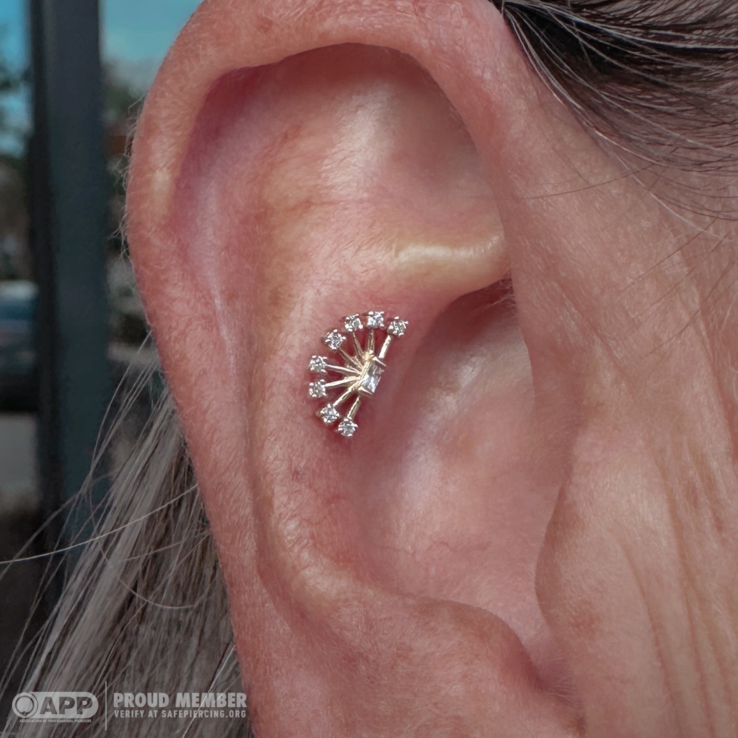 Piercing by Stacey Schiff Thiel